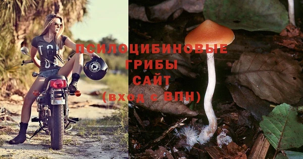 прущая мука Горно-Алтайск