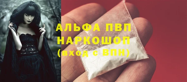 СК Горняк