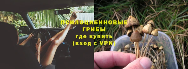 прущая мука Горно-Алтайск